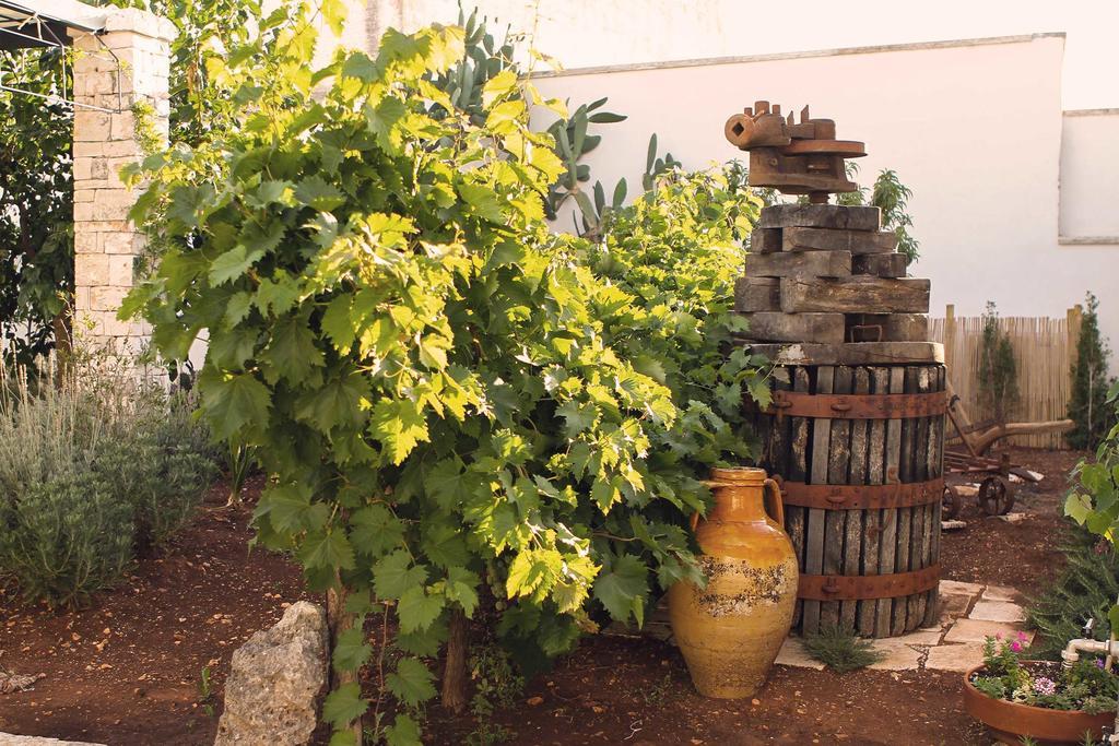 Corte Trullo Sovrano B&B Alberobello Ngoại thất bức ảnh